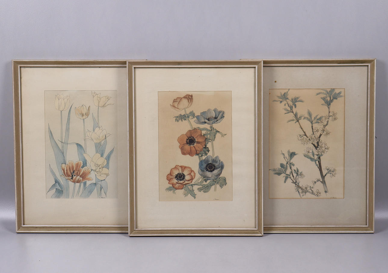 LISA BAUER. botanical prints, flowers, 3pcs.