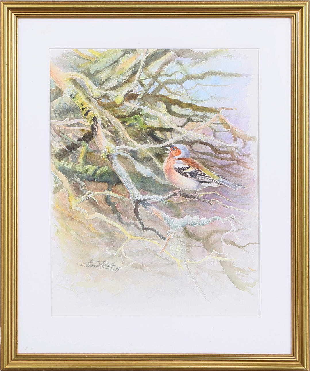 GÖRAN PETERSSON. Bofink, akvarell, signerad och daterad -97.