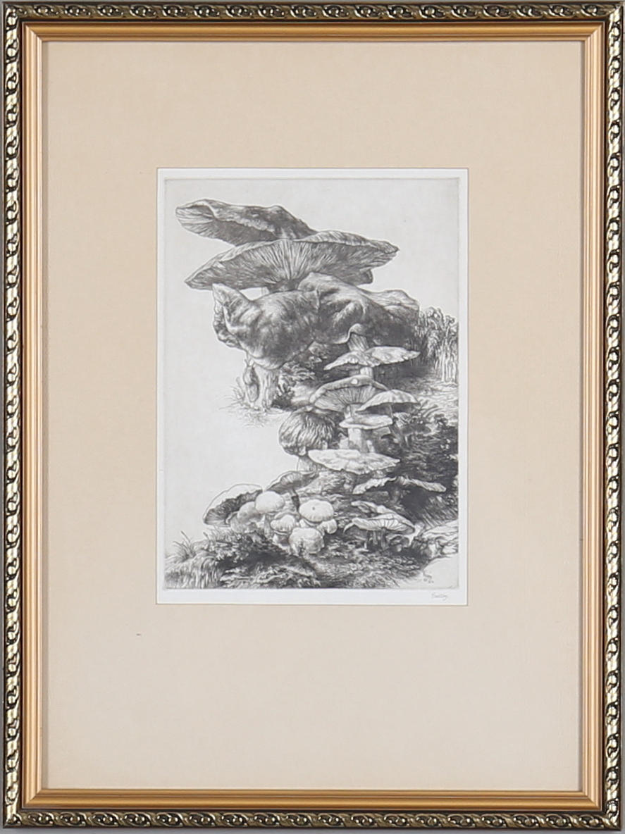 FOLKE GULLBY. "Study of Mushrooms", etching, signed.