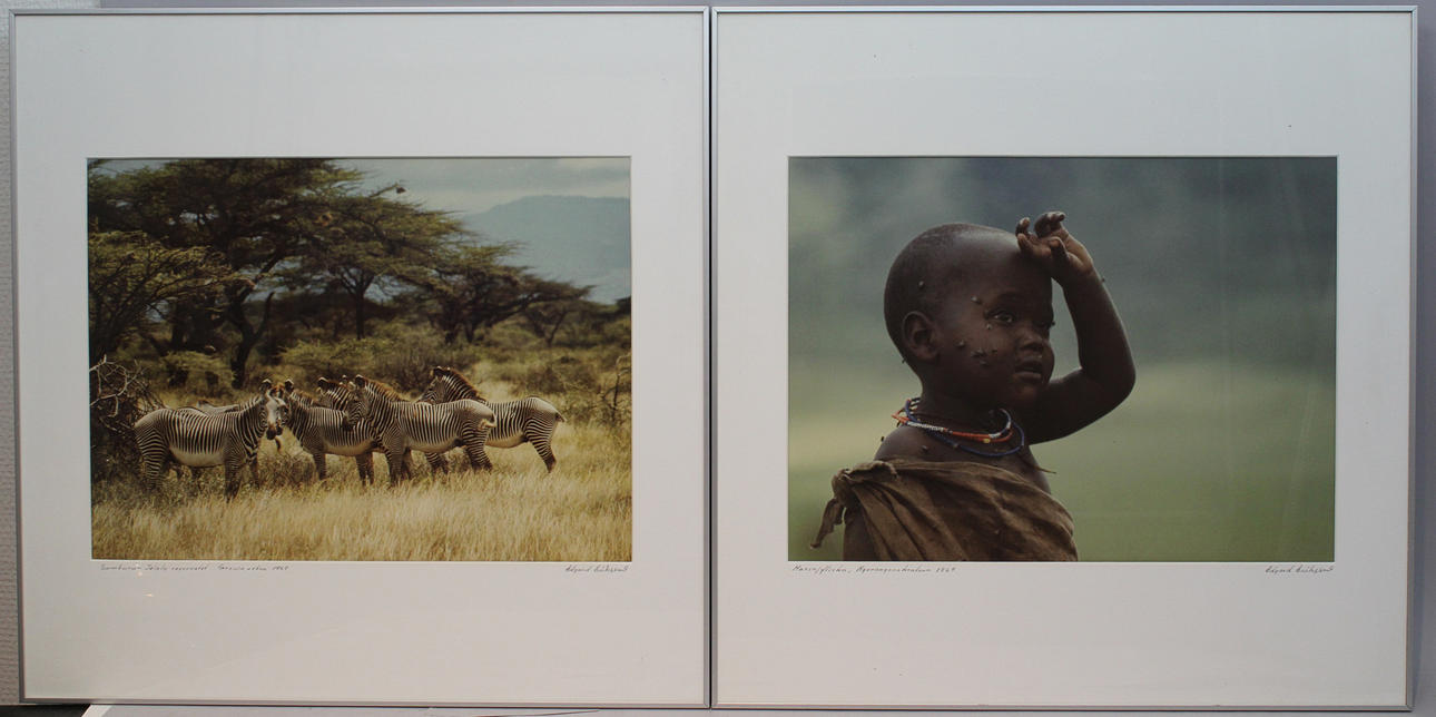 EDGARD ERIKSSON. "Massajflicka, Ngonongorokratern 1969" och "Samburu-Isiolo reservatet, Grevis sebror 1969" (2). Fotografier. Signerade.