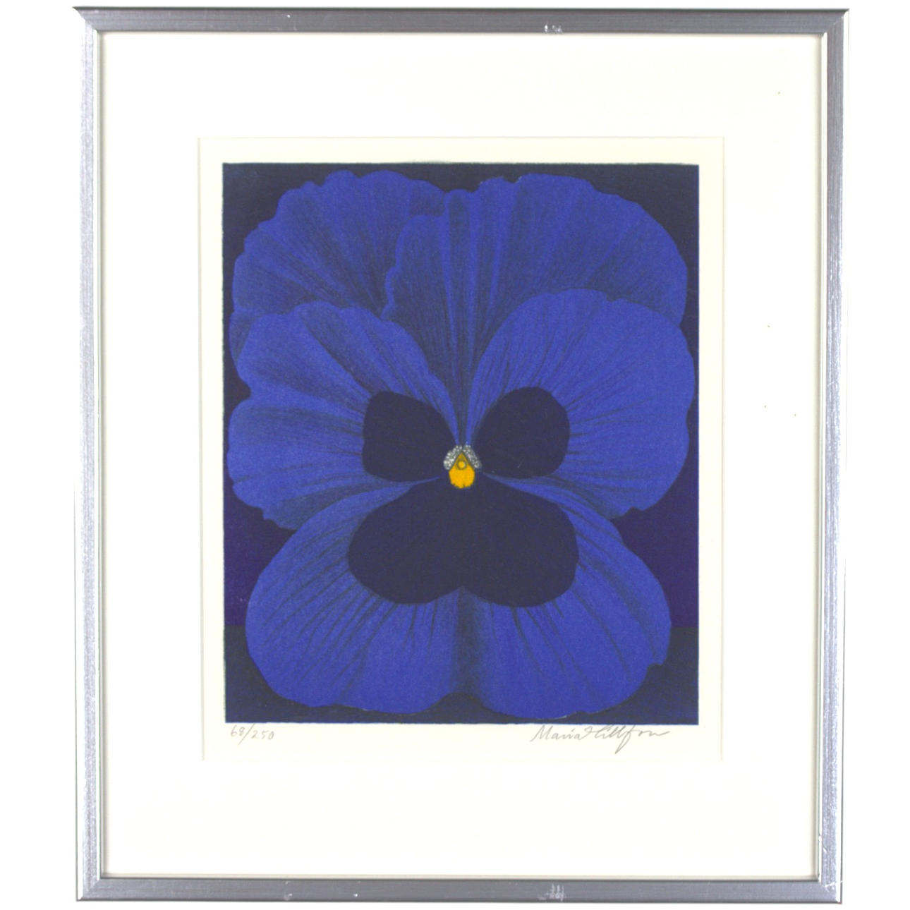 MARIA HILLFON. Lithograph, 68/250, Viol, signed.