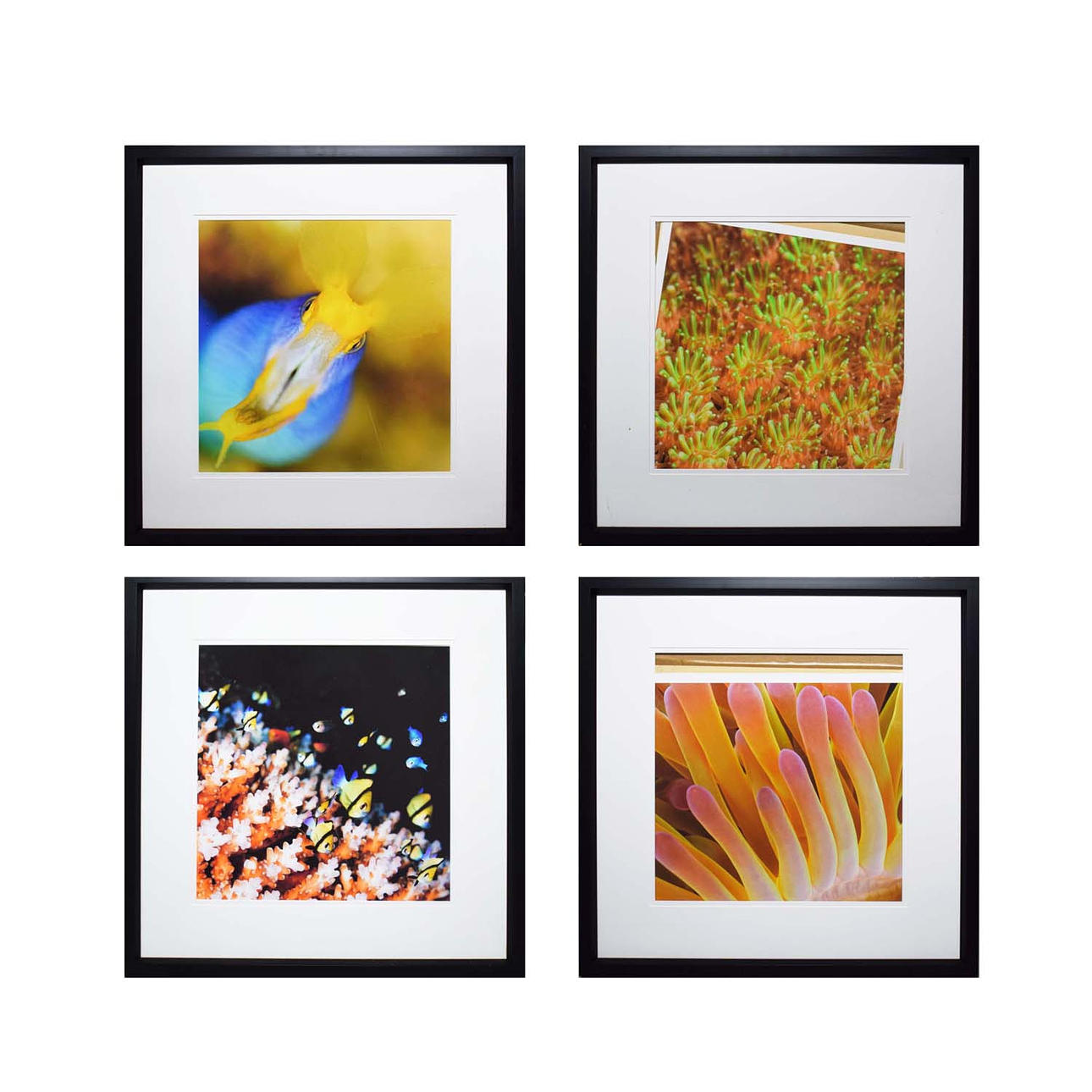 TROWBRIDGE GALLERITRYK (4).