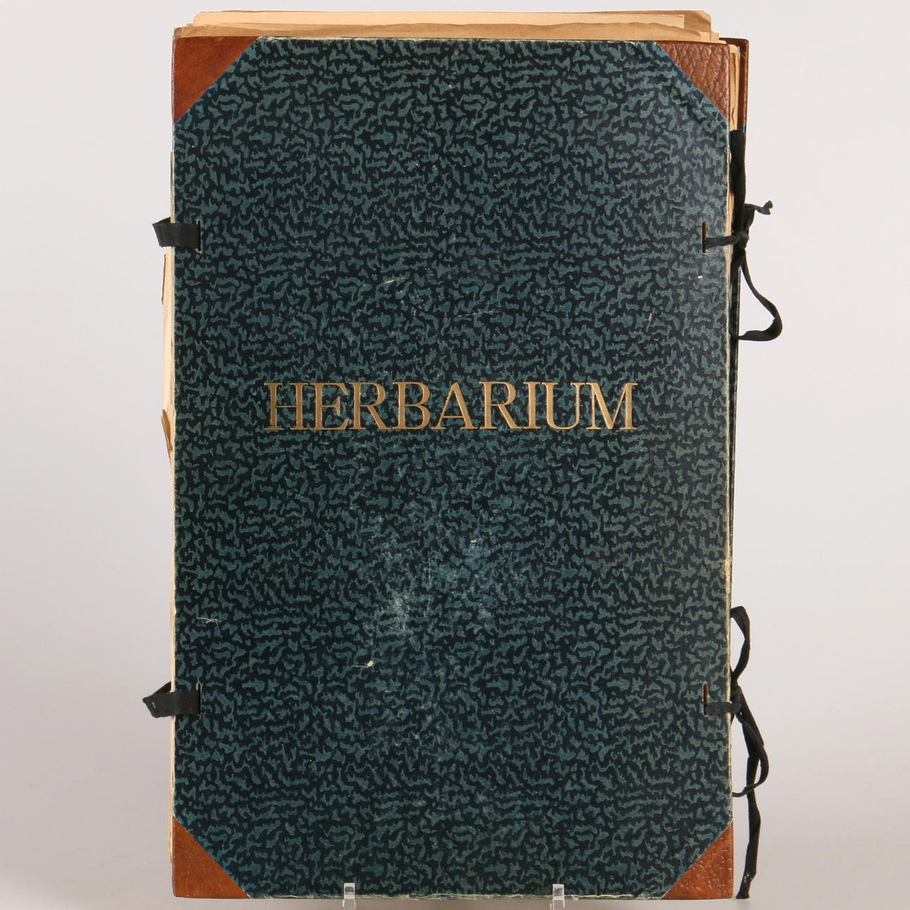 HERBARIUM, 1940-tal.