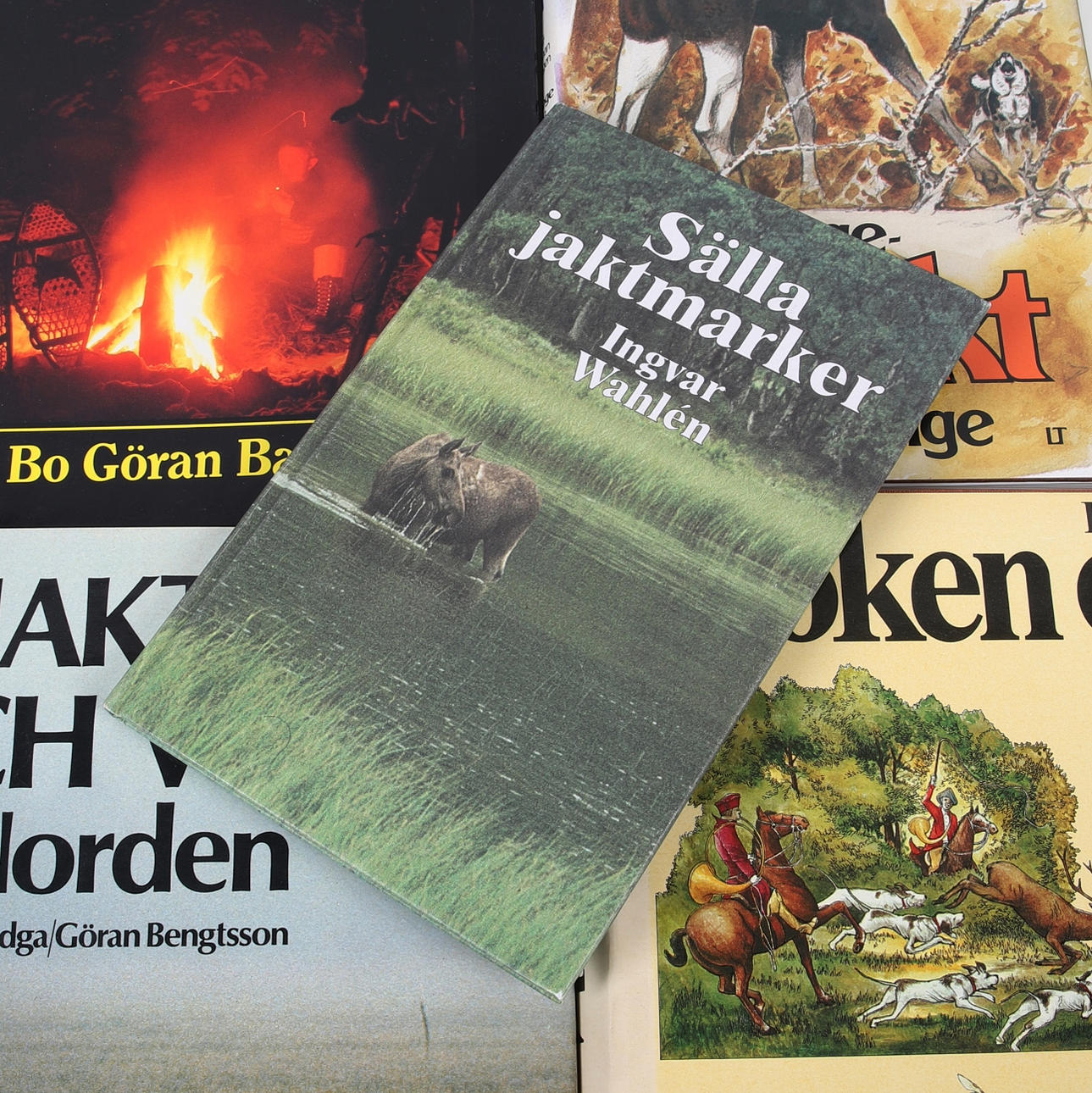 Books, 13 books, hunting & game.