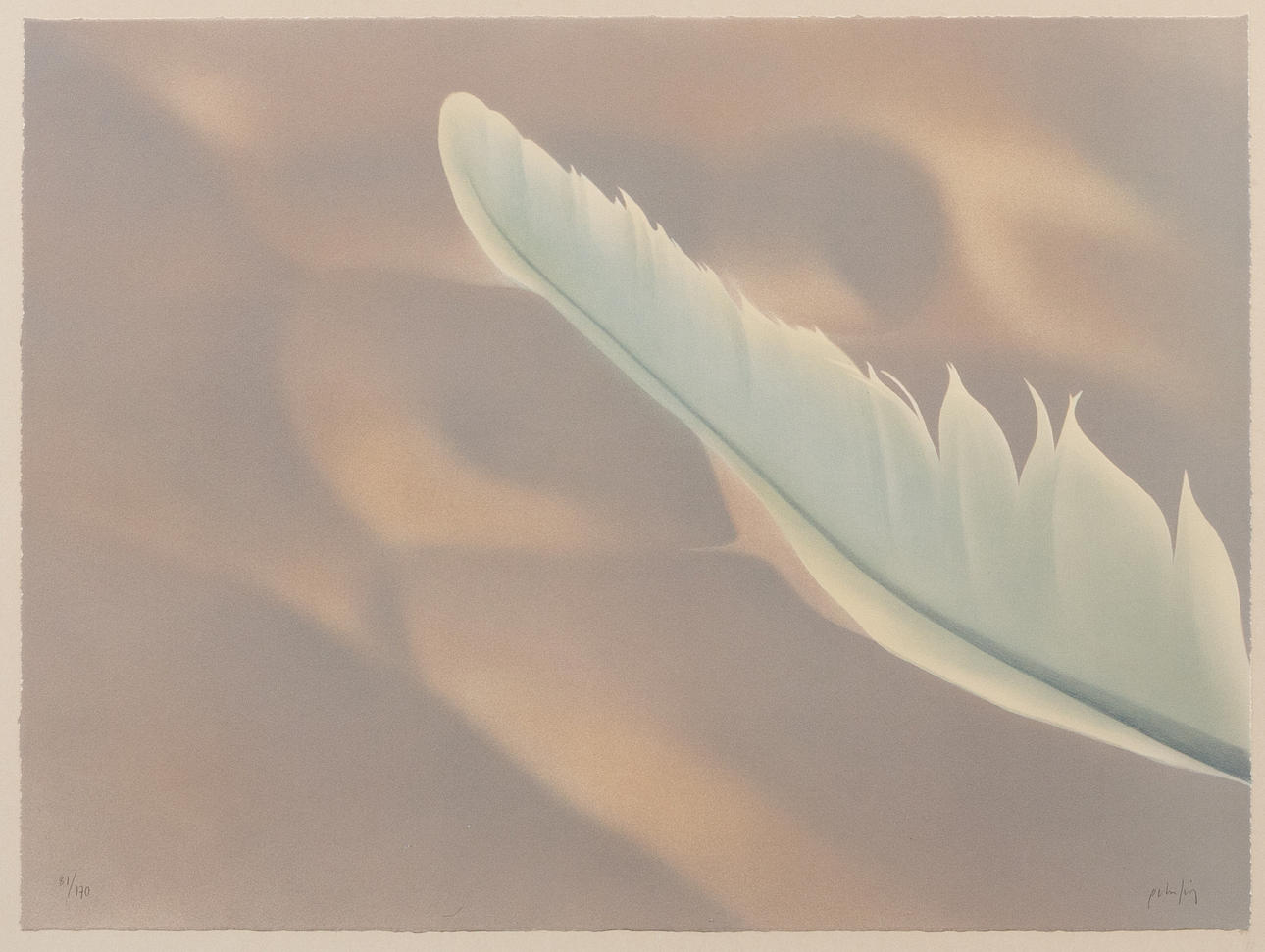 PETER FRIE. Feather, lithograph no 81/170, signed.