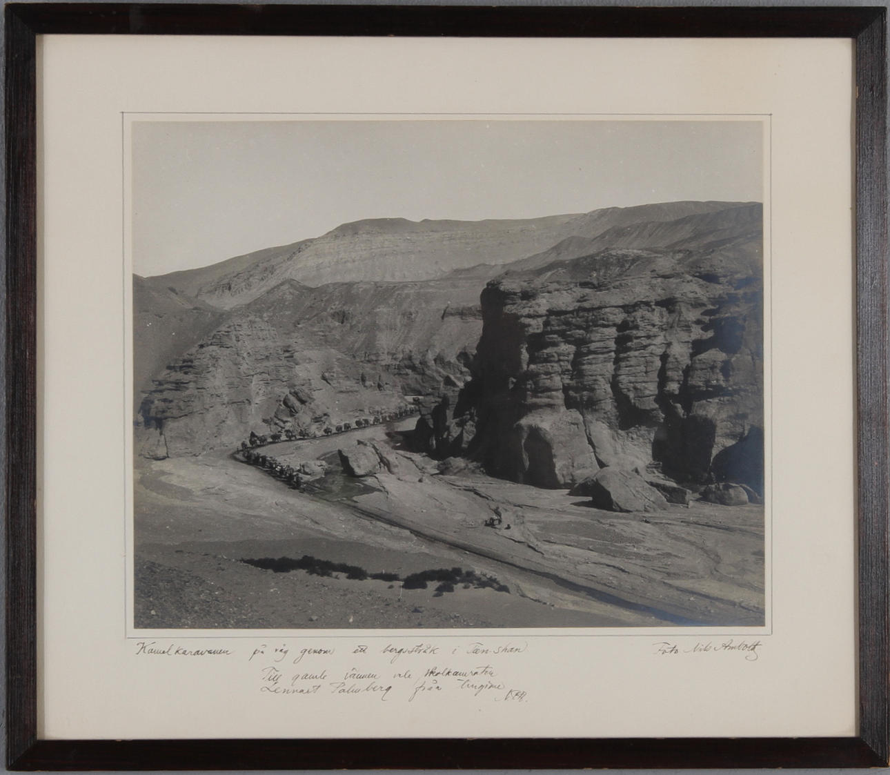 NILS AMBOLT. Kravan, fotografi.