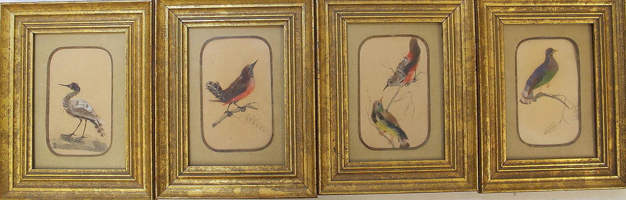 OIDENTIFIERAD KONSTNÄR. Tavlor, 4 stycken. Akvarell och fjädrar.