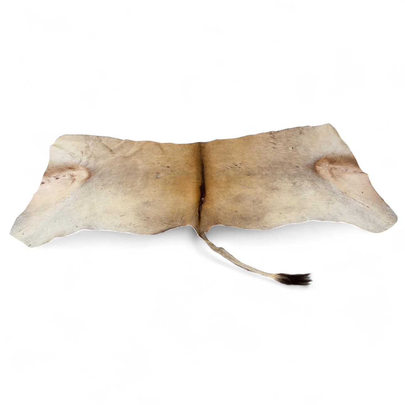 SKIN/ANIMAL SKIN, Deer.
