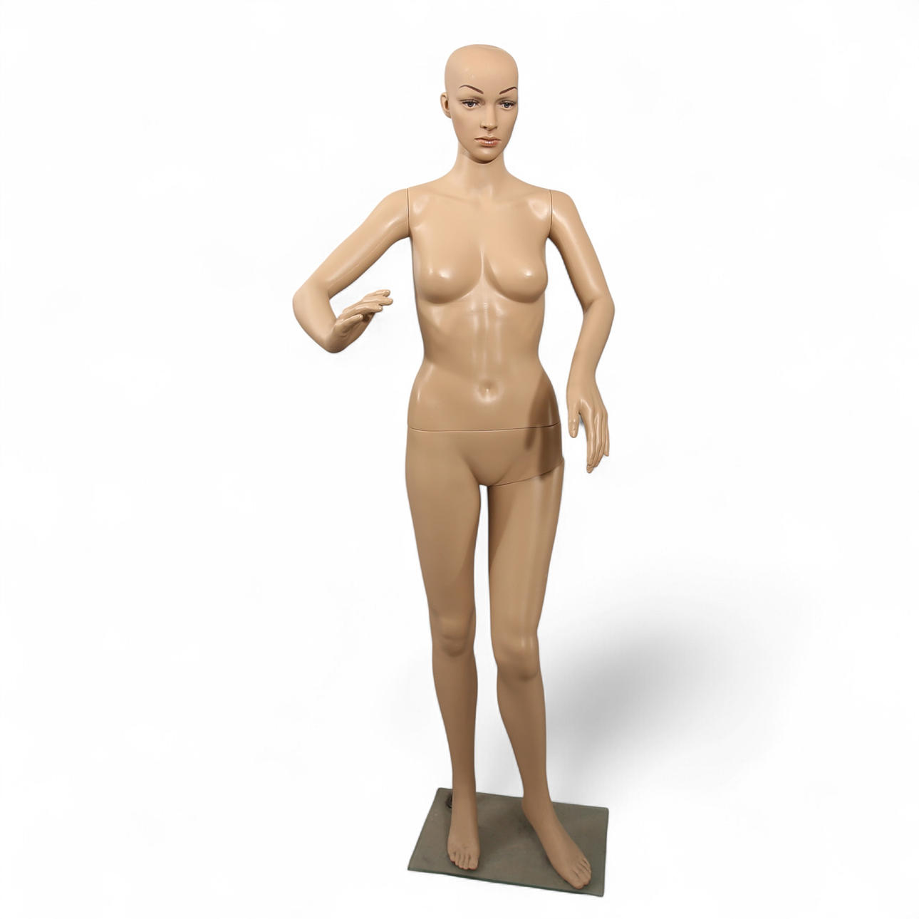 SIGN/SPECIMEN DOLL, 2000's.