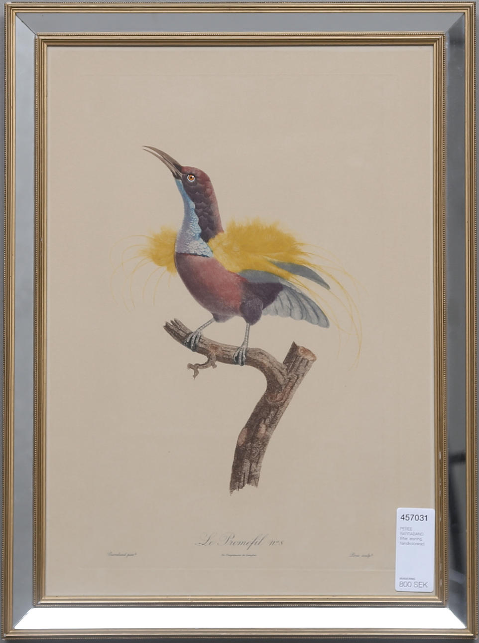 PIERRE BARRABAND. EFTER. etsning, handkolorerad.