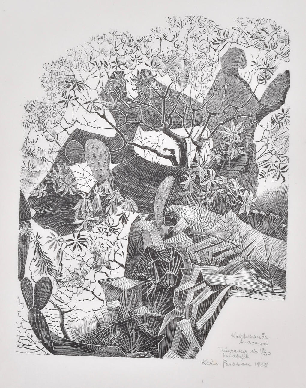 KARIN PERSSON. wood engraving, “Cactus thicket Anacapri”.