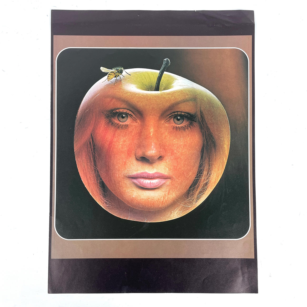 SAM HASKINS (1926-2009), 31 posters/posters, designs and