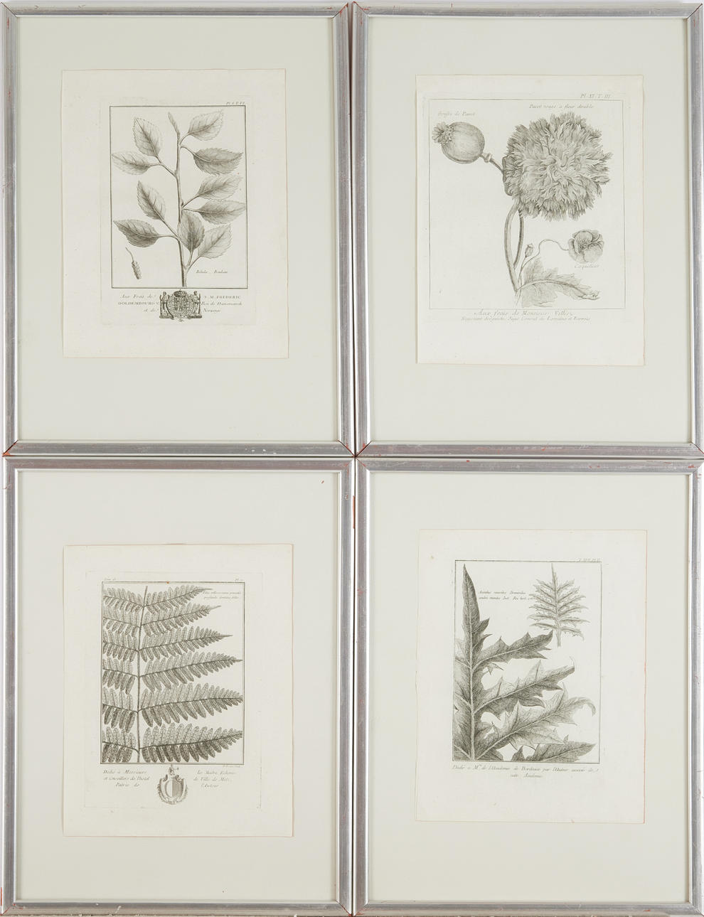 Planteplader, 10 stk., indgraverede, 1700-tallet.