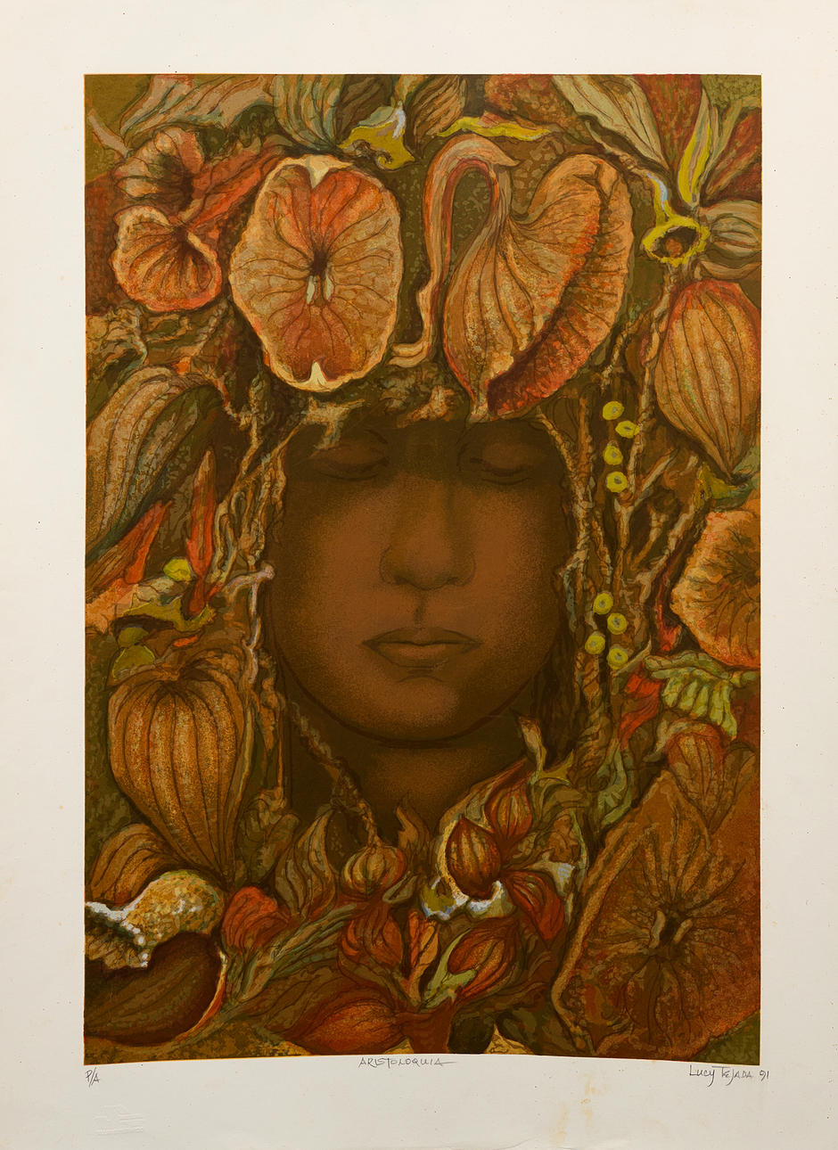 LUCY TEJADA. “Aristoloquia”.