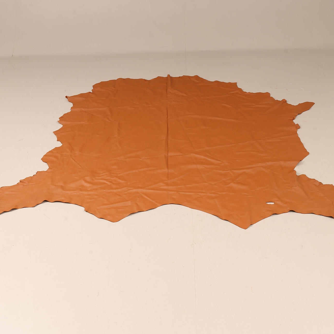 NAHKAINEN NAHKA, Elmosoft.