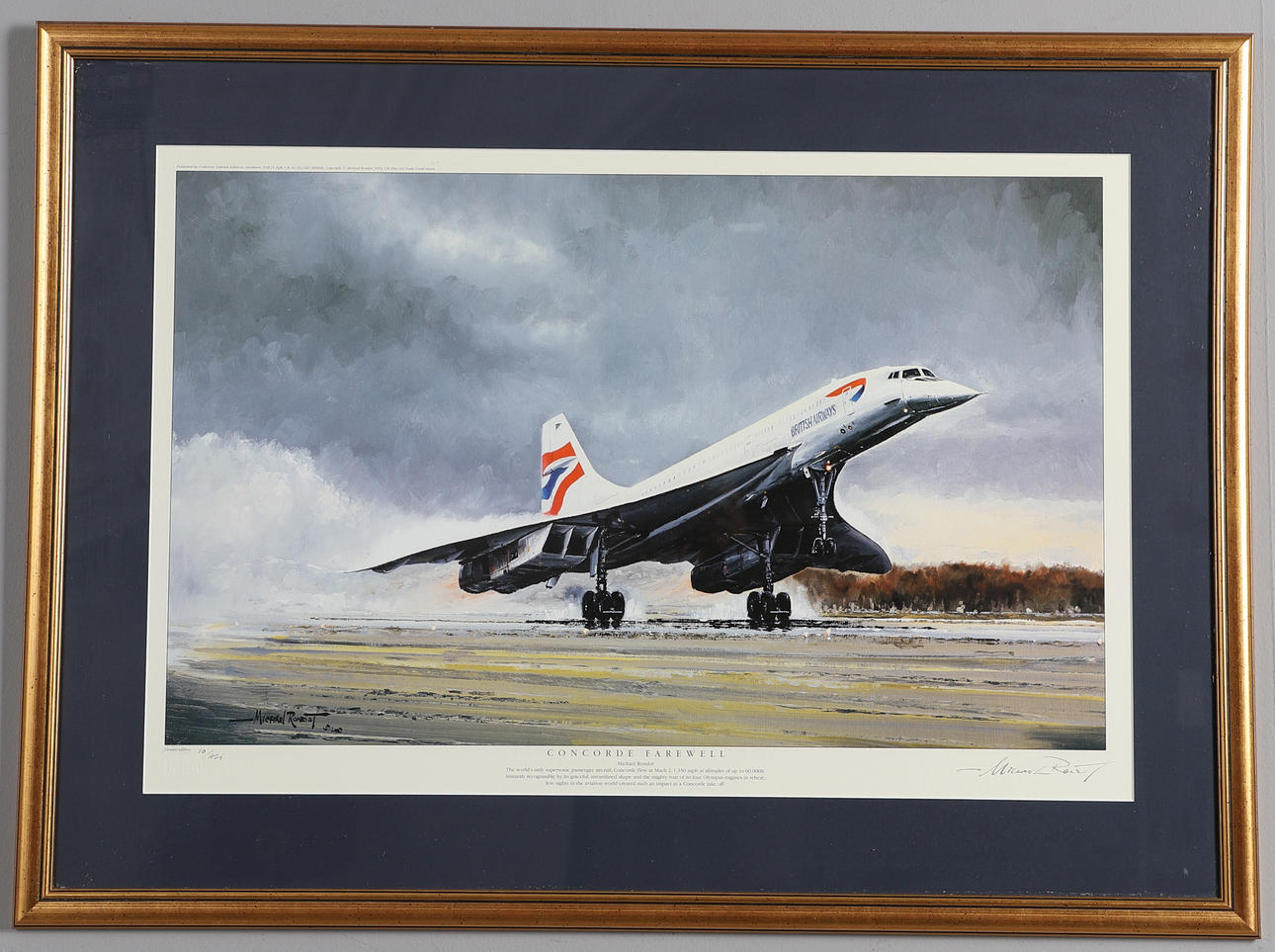MICHAEL RONDOT. Concorde Farewell.