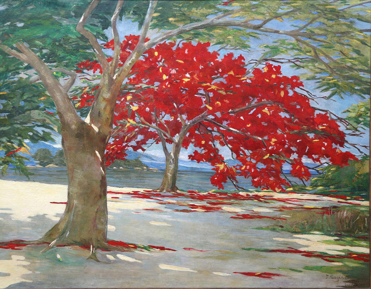 PRÍNCIPE PAULO GAGARIN. Landscape.