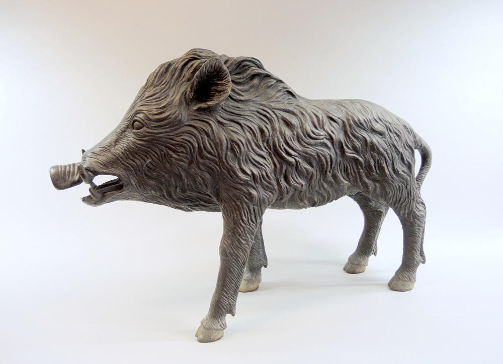 STOR BRONS VILDSVIN.