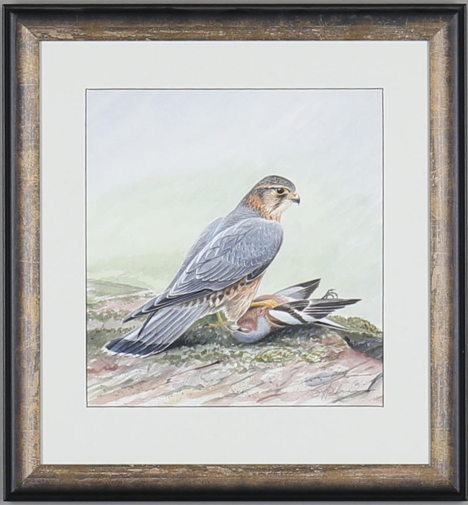 DAG PETTERSSON. Fågel, akvarell, signerad.