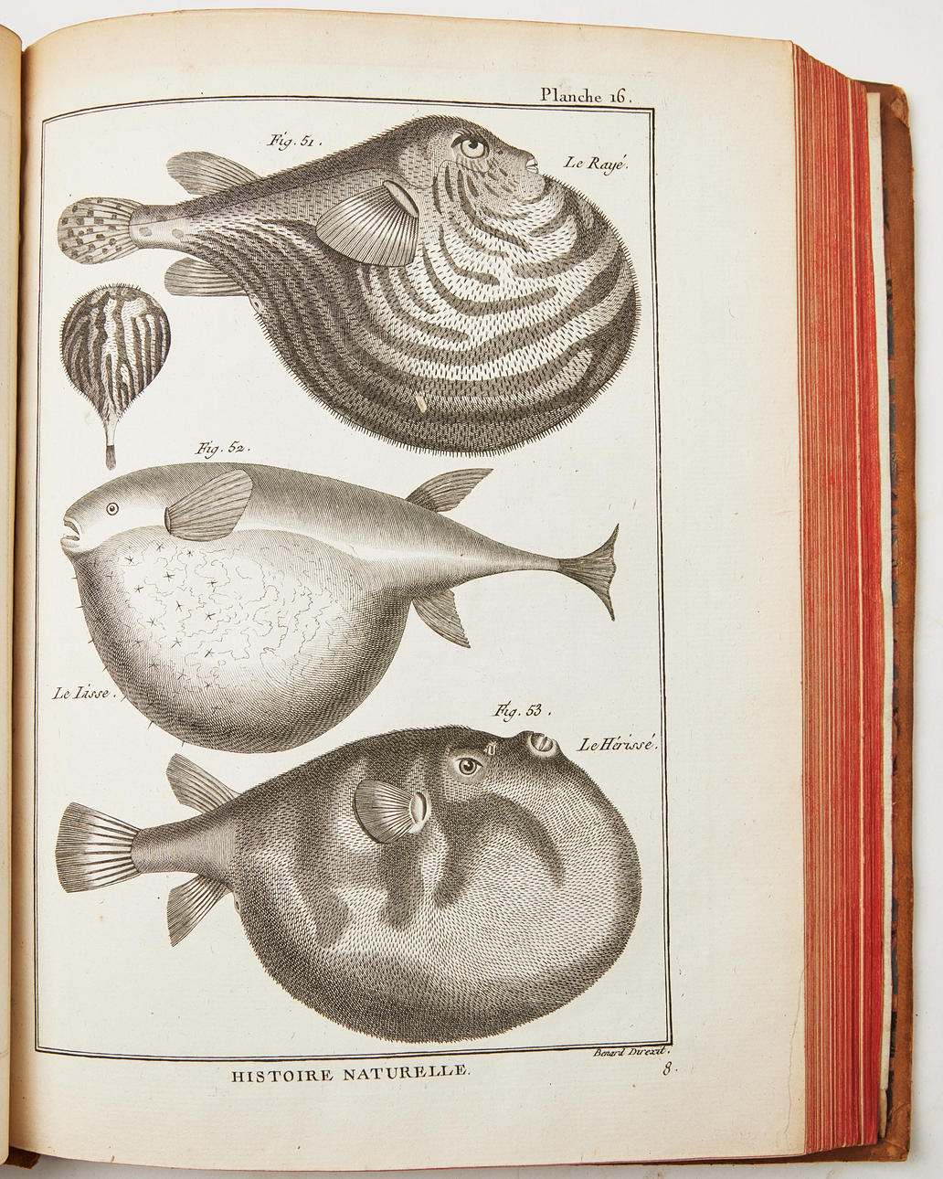 ENCYCLOPEDIE METHODIQUE, CLASSIC WORK FROM THE ENLIGHTENMENT, ca