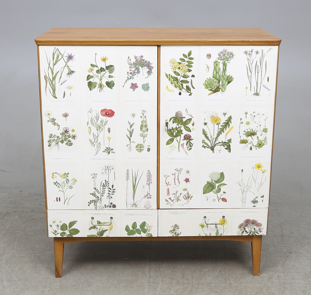 SKÅP, Nordens flora, 1960-tal.