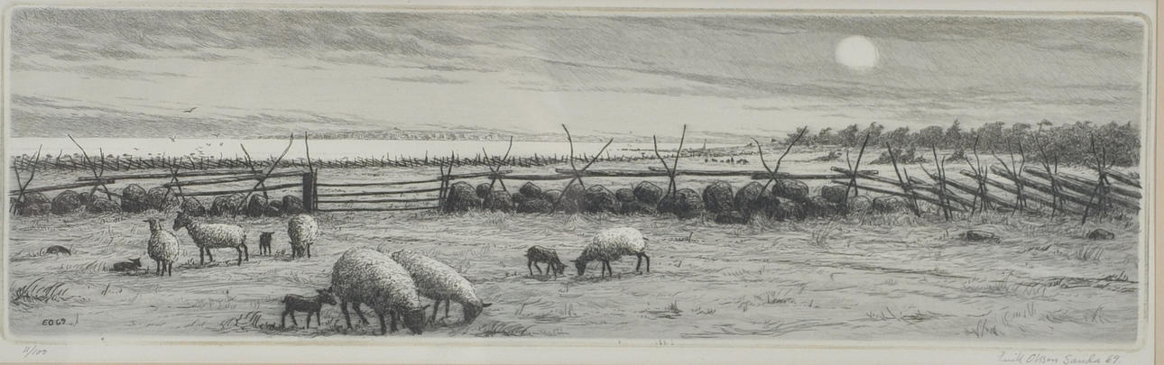 ERIK OLSSON SANDA. Färgetsning.