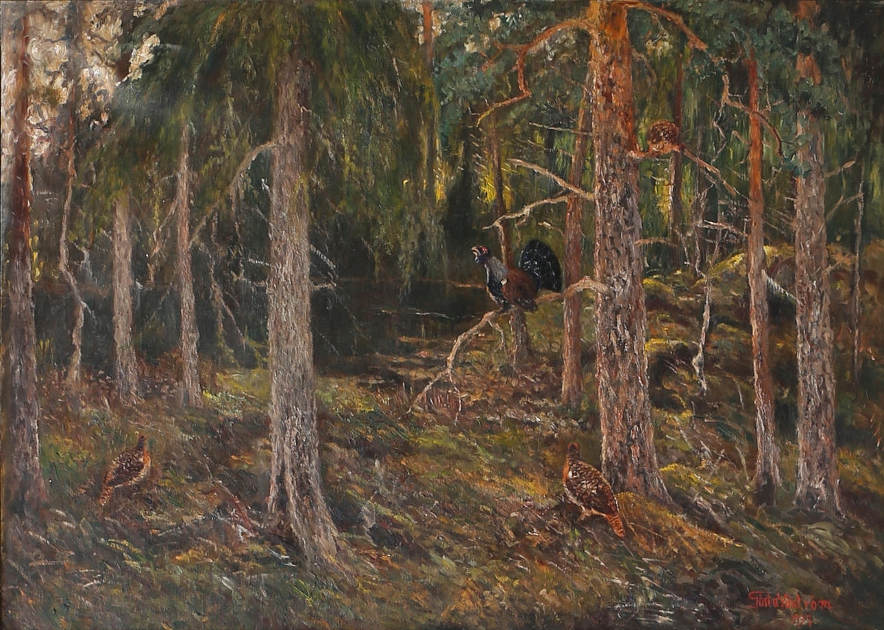 GÖSTA YDSTRÖM. Tjädrar i skogsparti. Olja på duk, signerad och daterad 1937.