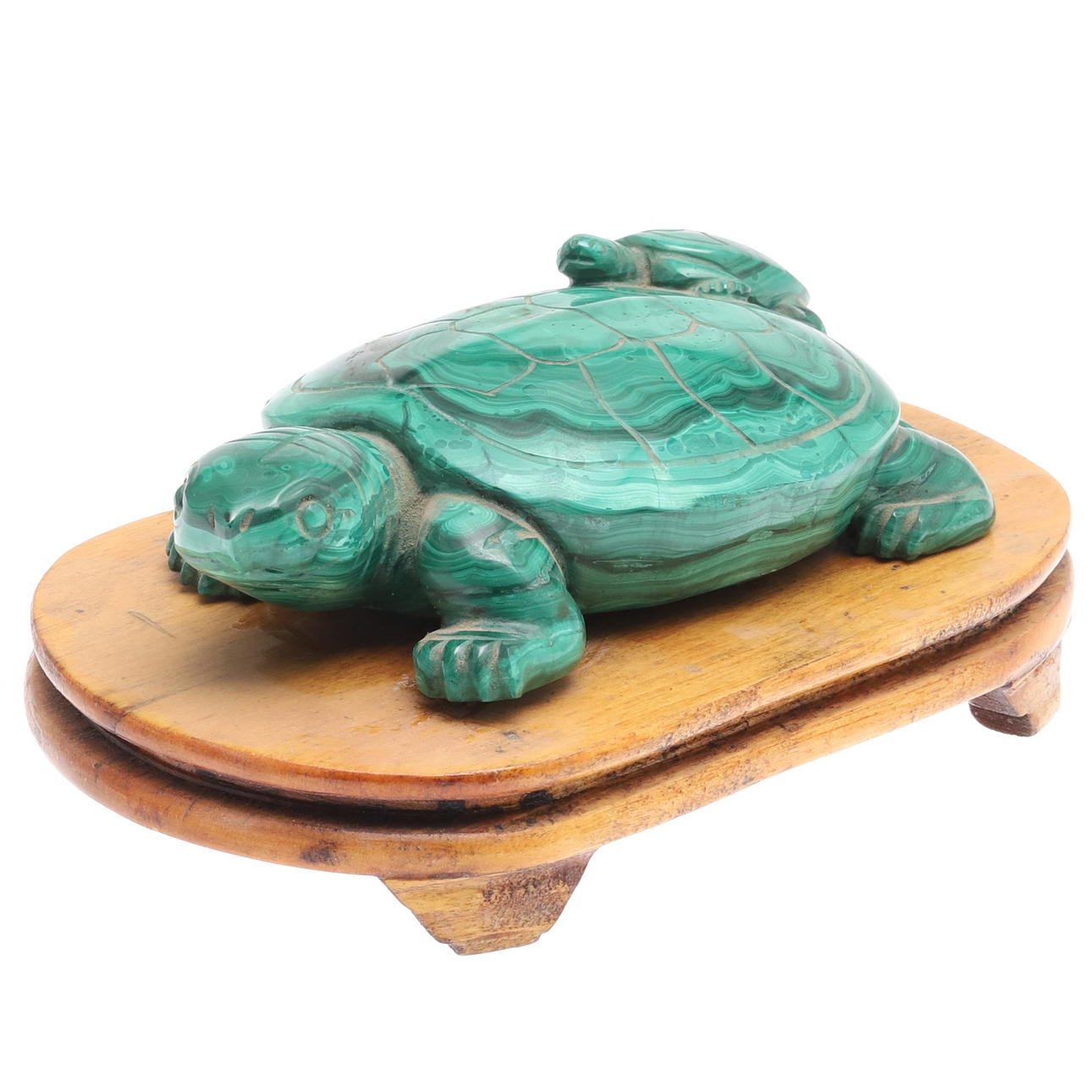 MALAKIT SNIDAD SKÖLDPADDA.