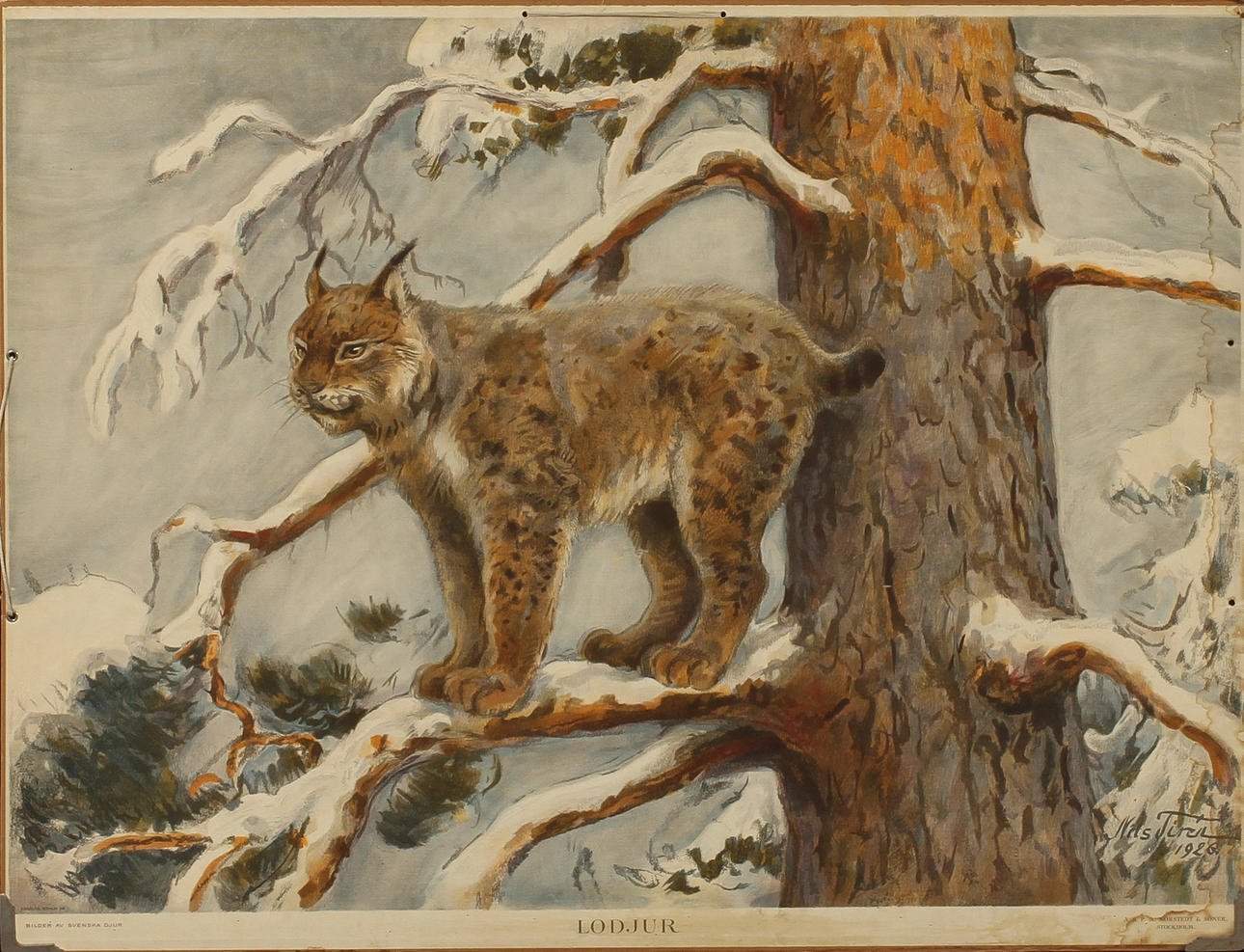 SKOLPLANSCHER, 4 st samt KARTA över Sverige.