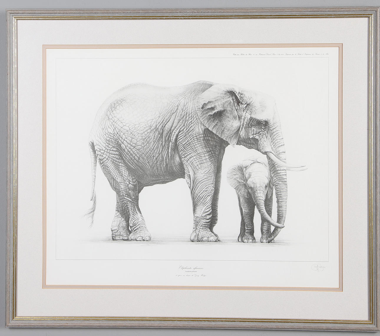 GARY HODGES (B. 1954-). ELEPHANTS AFRICAINS. Art - Engravings & Prints ...