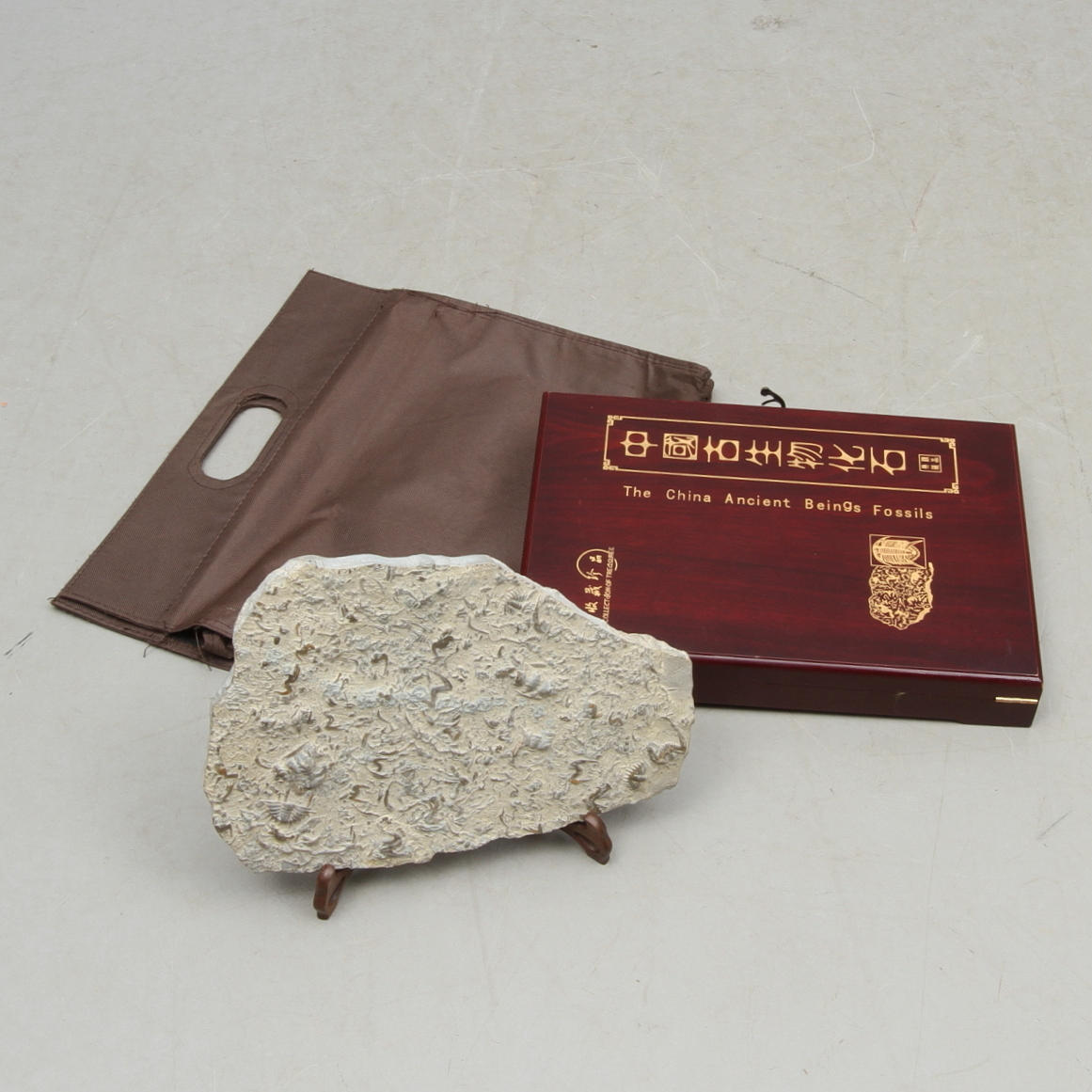 FOSSIL, Trilobiter, Kina.