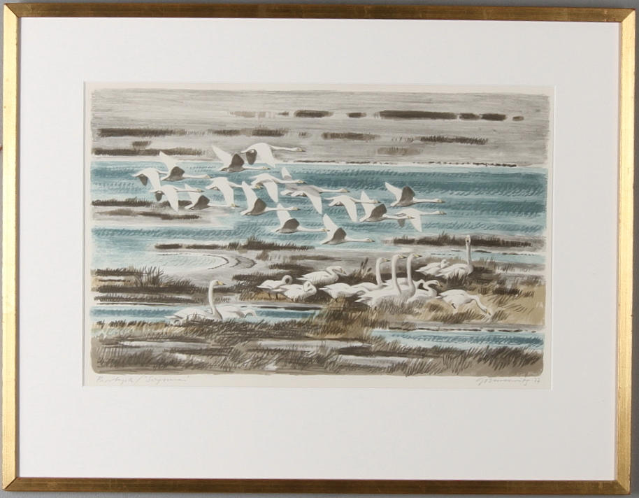 GUNNAR BRUSEWITZ. "Sångsvanar", färglitografi, signerad, daterad -77, Provtryck.