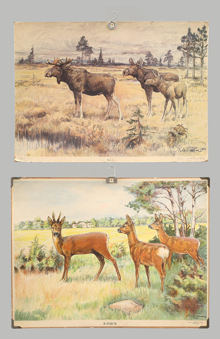 SKOLPLANSCHER, 2 st, offsettryck. Älg och rådjur.
