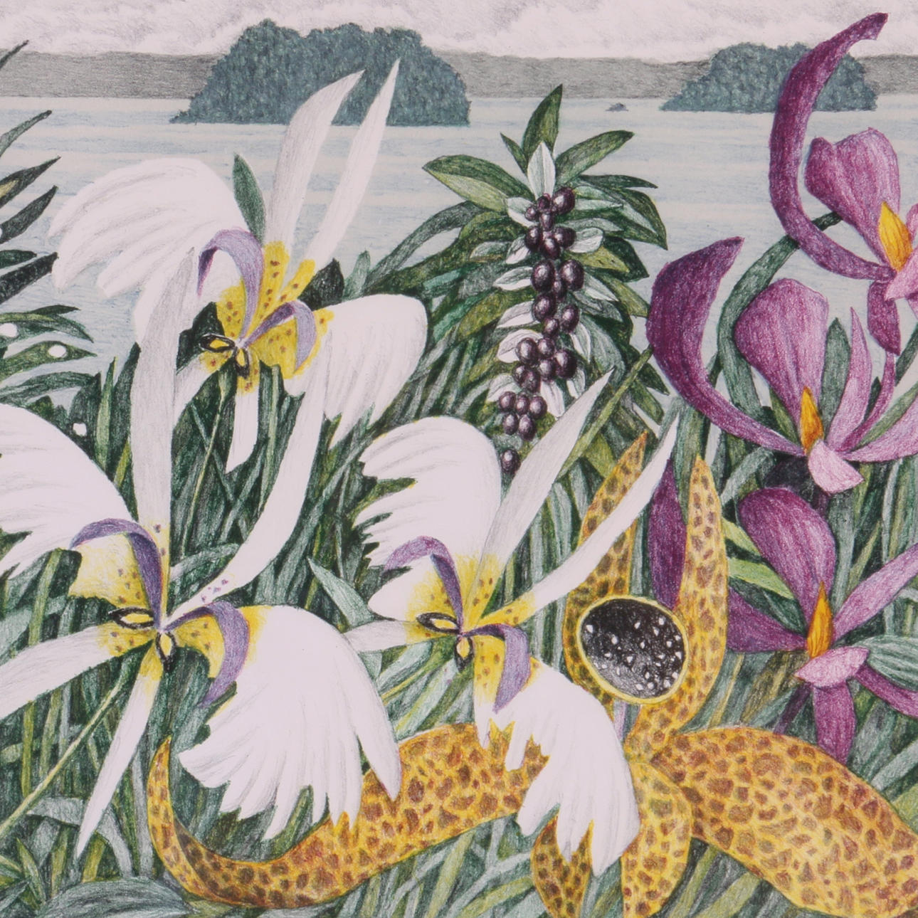 KARL AXEL PEHRSON. Färglitografi, signerad samt numrerad 152/250.