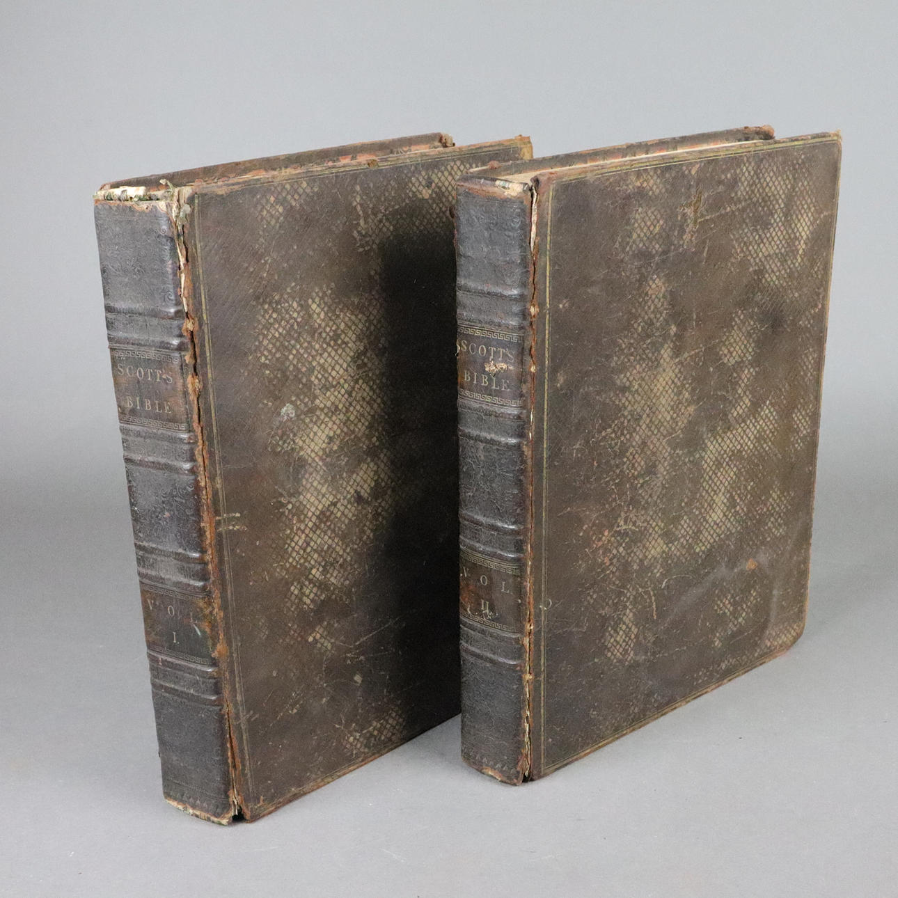 THE HOLY BIBLE.
