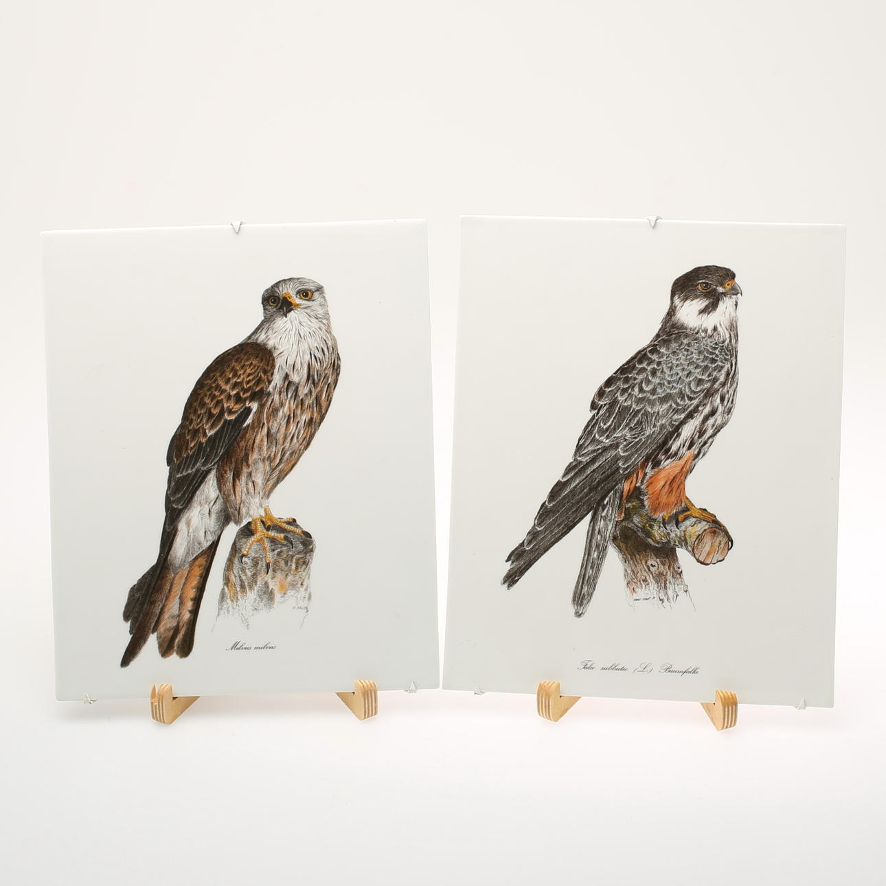 VÄGGPLAKETTER, 2 st, porslin, Rörstrand.