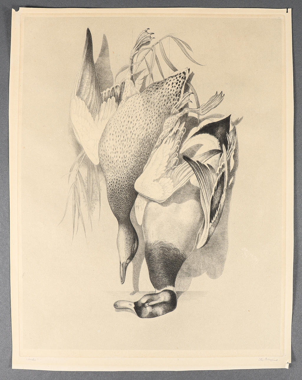stig-borglind-grafiskt-blad-signerat-konst-grafik-auctionet