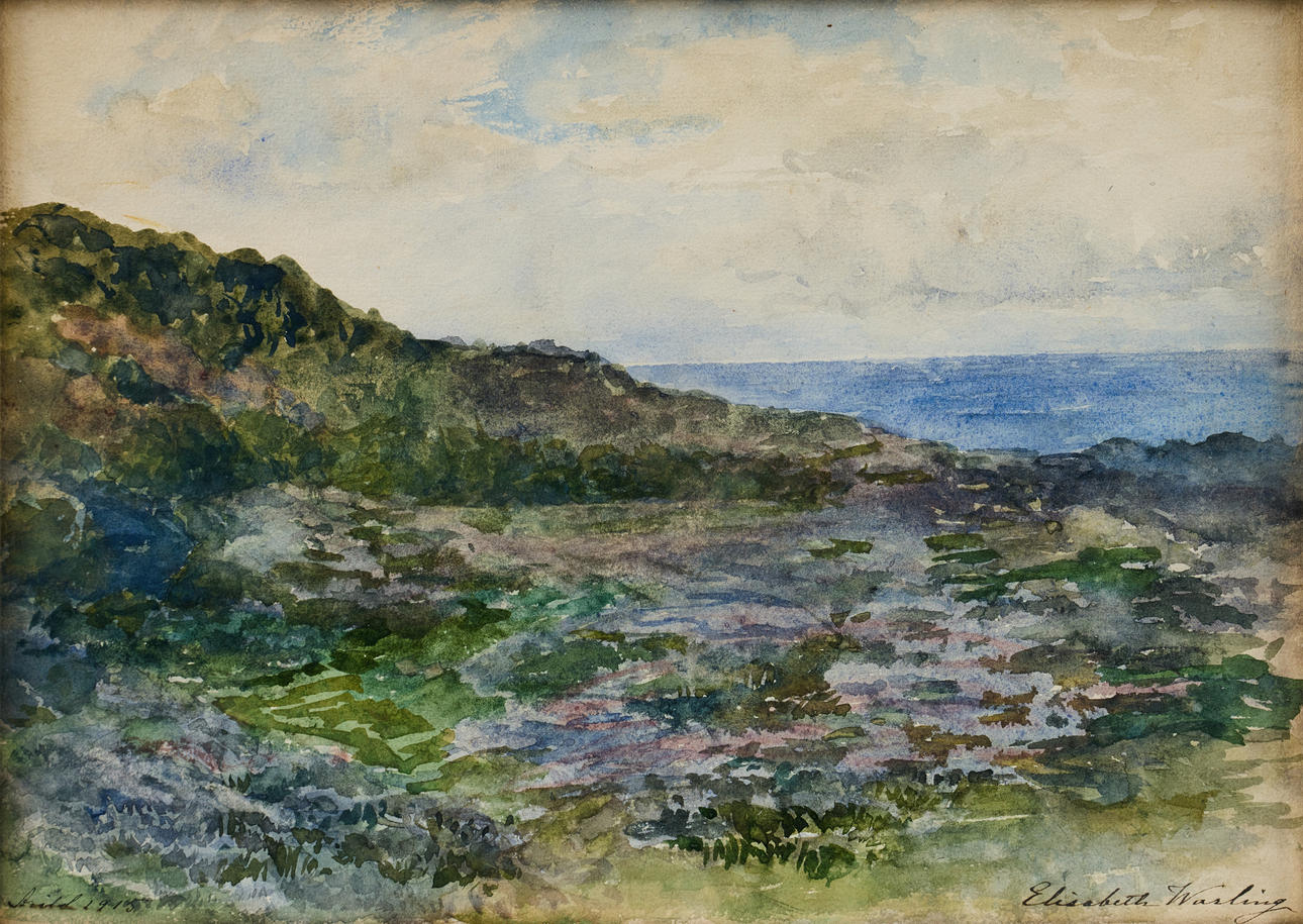ELISABETH WARLING (1858-1915). Arild.