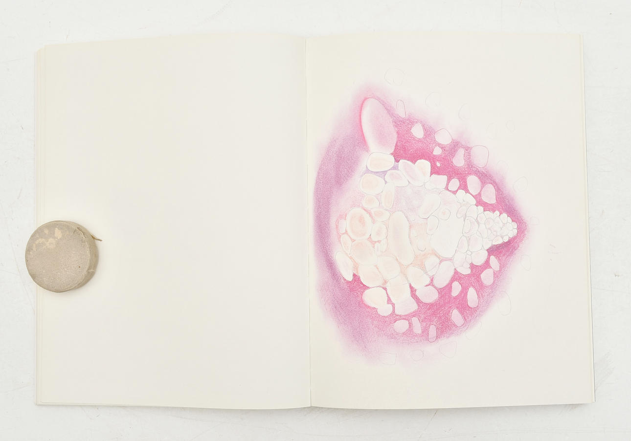 Mariko Mori: The Dream Temple. Books, Maps & Manuscripts - Books
