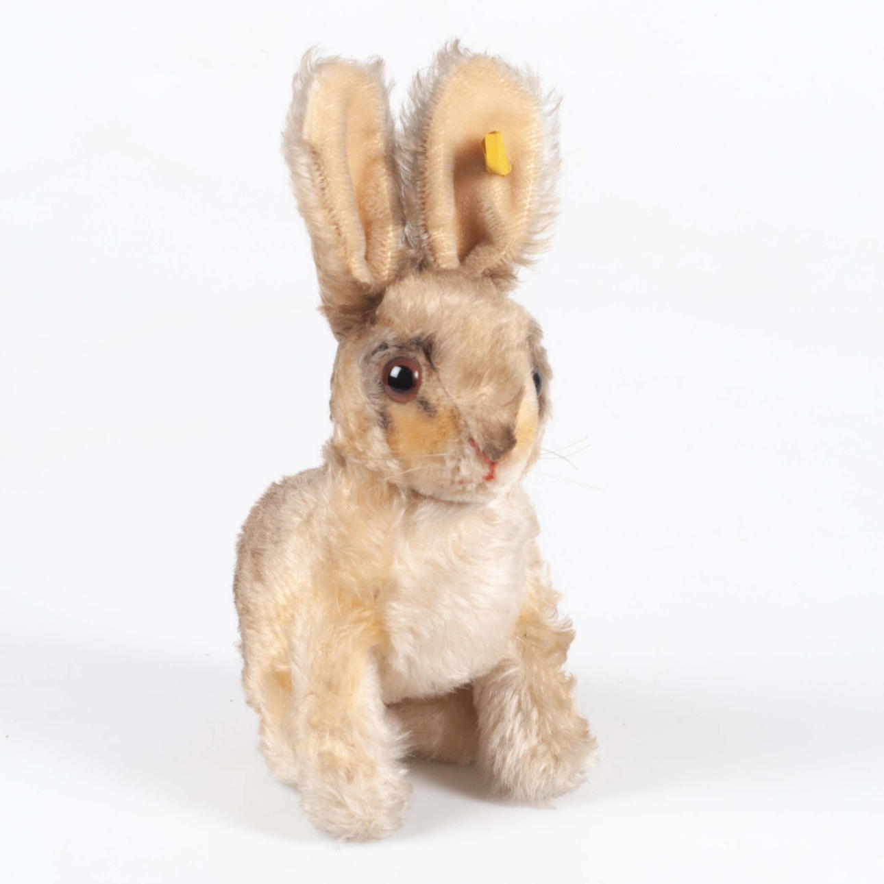 STEIFF, rabbit, button marked.