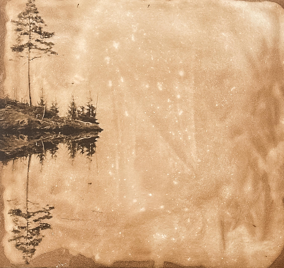 ANETTE HAMMARÉN. ETCHING, “Still”, signed, numbered.