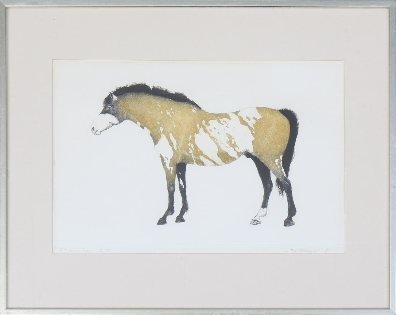 SVEN-ERIK HELLQVIST. Colour etching, signed, dated -82.