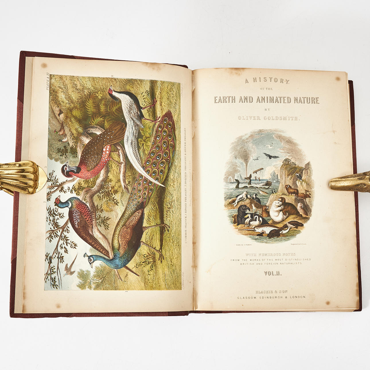 GOLDSMITH, A HISTORY OF EARTH AND ANIMATED NATURE, COLOR