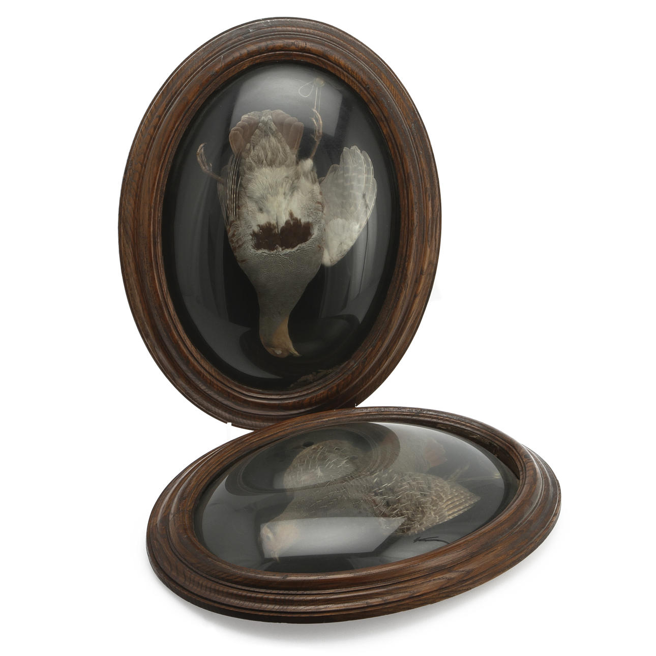 VÄGGRELIEFER, ett par, uppstoppade fåglar (ripor) . Ca 1900.