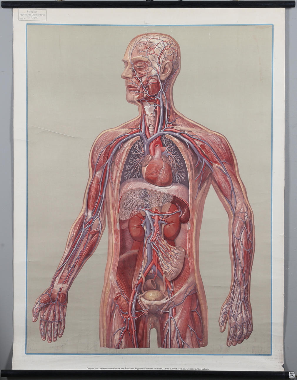 SKOLPLANSCH, offsettryck, Deutches Hygiene-Museum, Dresden.