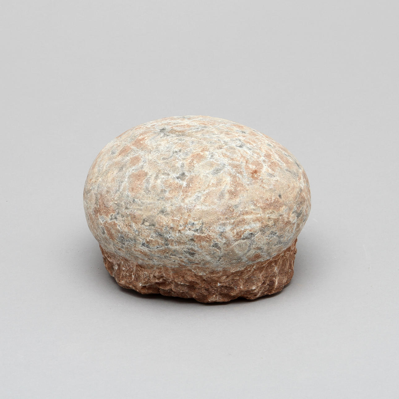 DINOSAURIEÄGG, fossil.