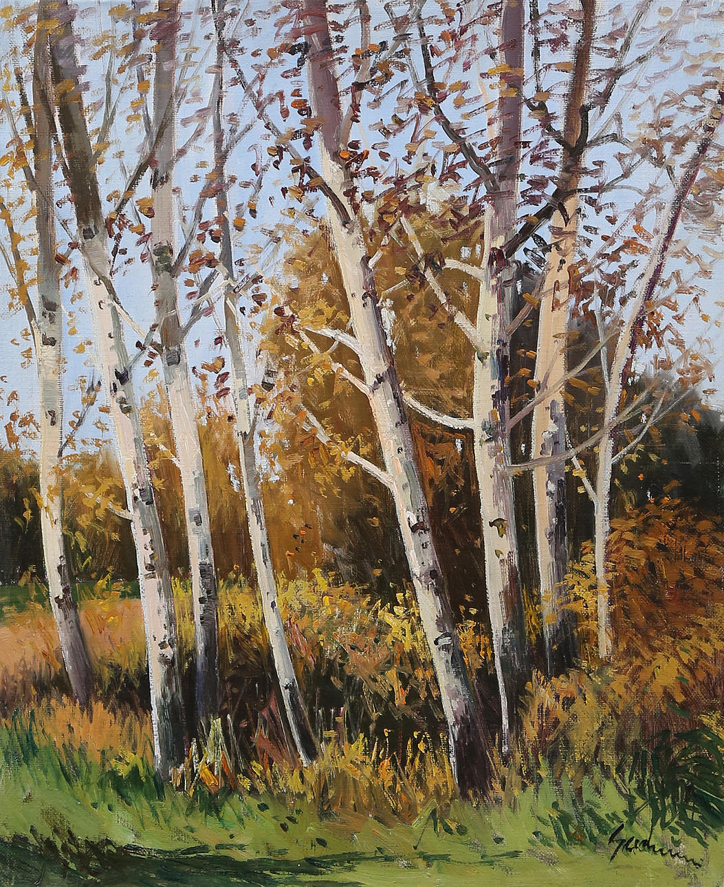 ANTONI SADURNÍ. Forest.