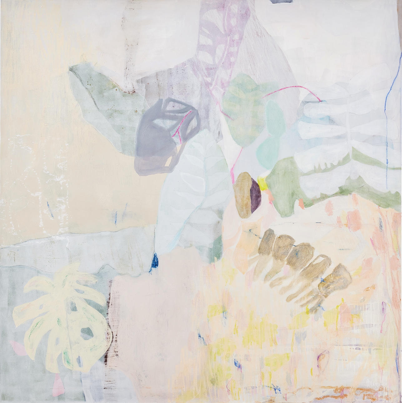ANNA FORSTER. 