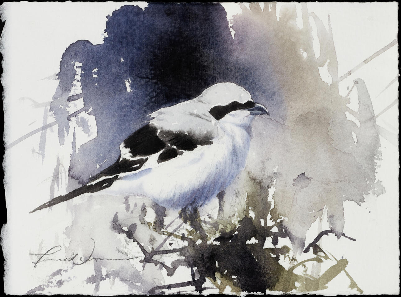 JONAS NILSSON (born 1968), “Warfowl”, signed, watercolour.