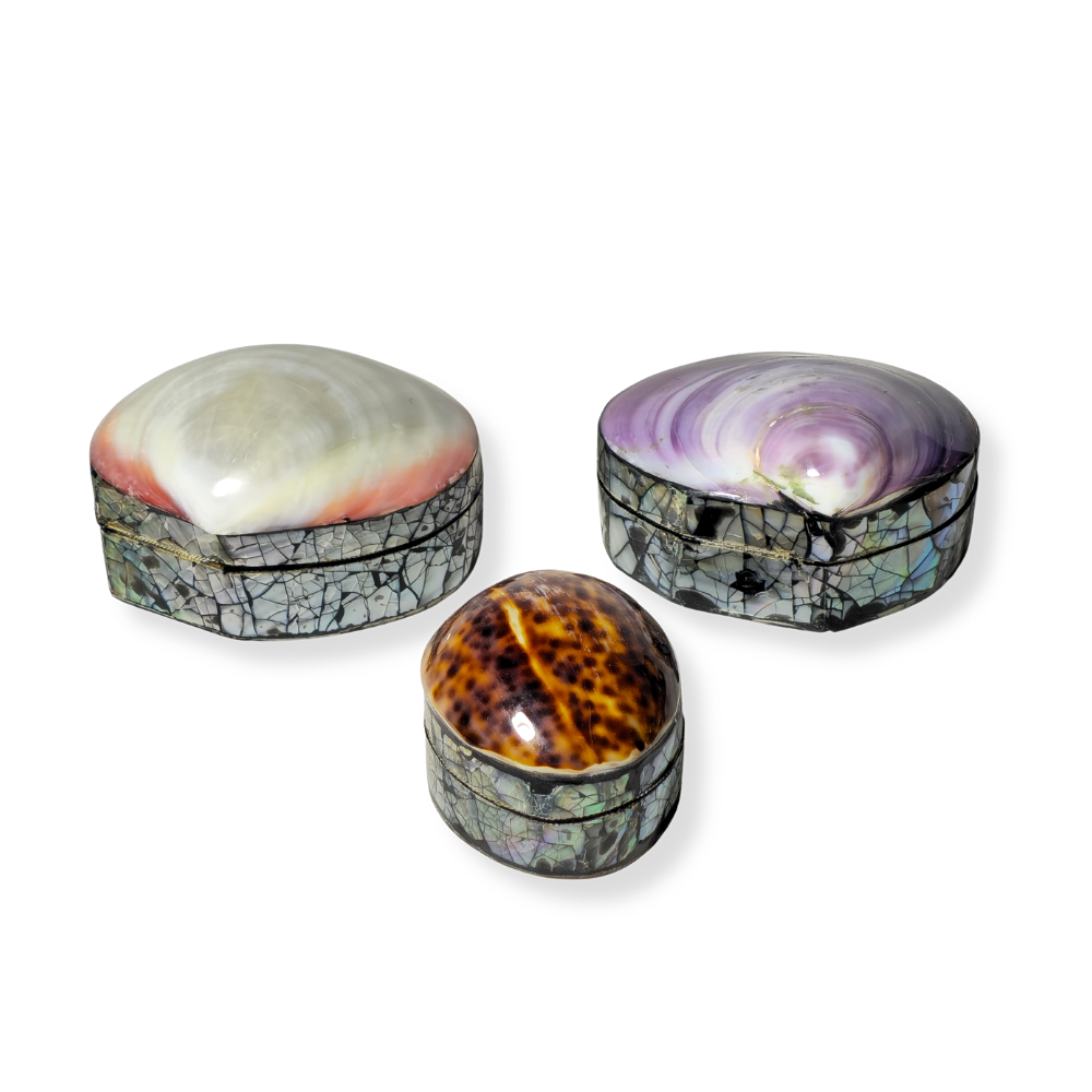3 BOXES SHELL JEWELRY BOX.